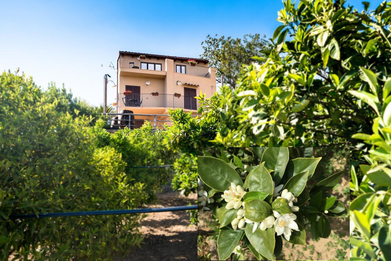 Parco Dei Templi Acomodação com café da manhã Agrigento Exterior foto